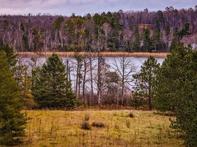 $550,000 | Tbd 141st Avenue, Bagley, MN 56621