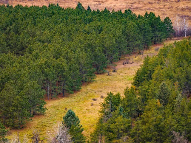 $550,000 | Tbd 141st Avenue, Bagley, MN 56621