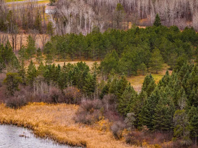 $550,000 | Tbd 141st Avenue, Bagley, MN 56621