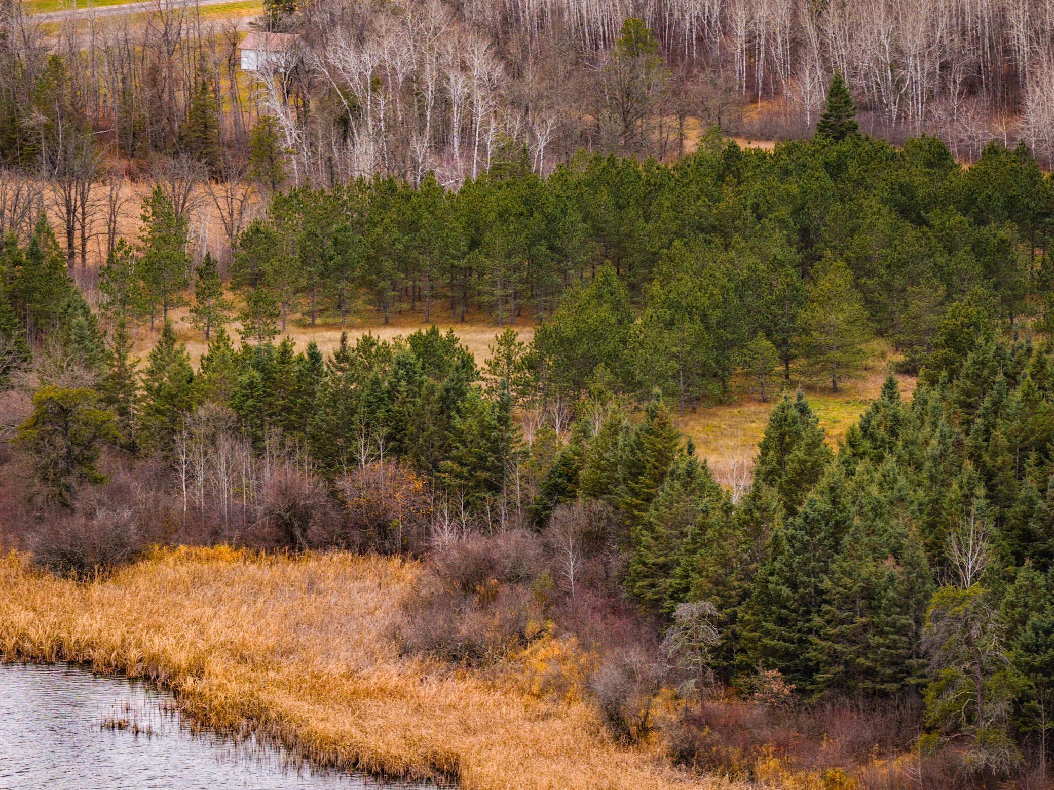 Tbd 141st Avenue Bagley, MN 56621 - Photo 7 of 29