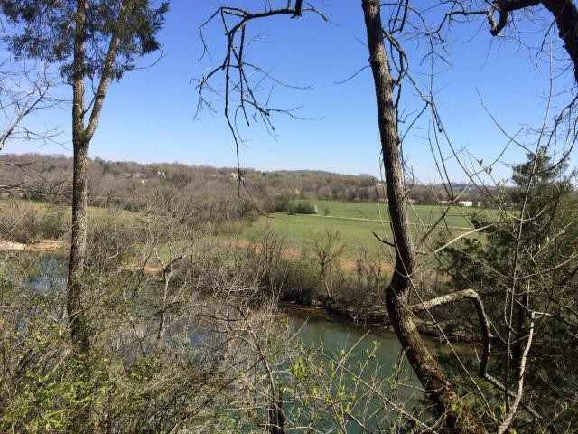 0 Graves Road Strawberry Plains, TN 37871 - Photo 1 of 3