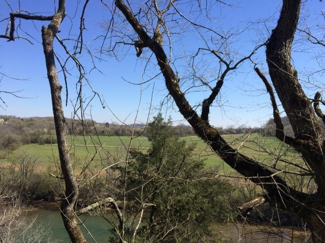 0 Graves Road Strawberry Plains, TN 37871 - Photo 2 of 3