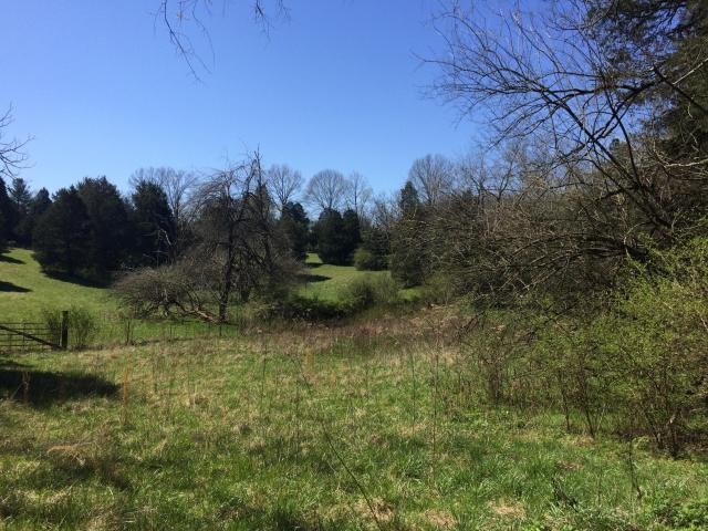 0 Graves Road Strawberry Plains, TN 37871 - Photo 3 of 3