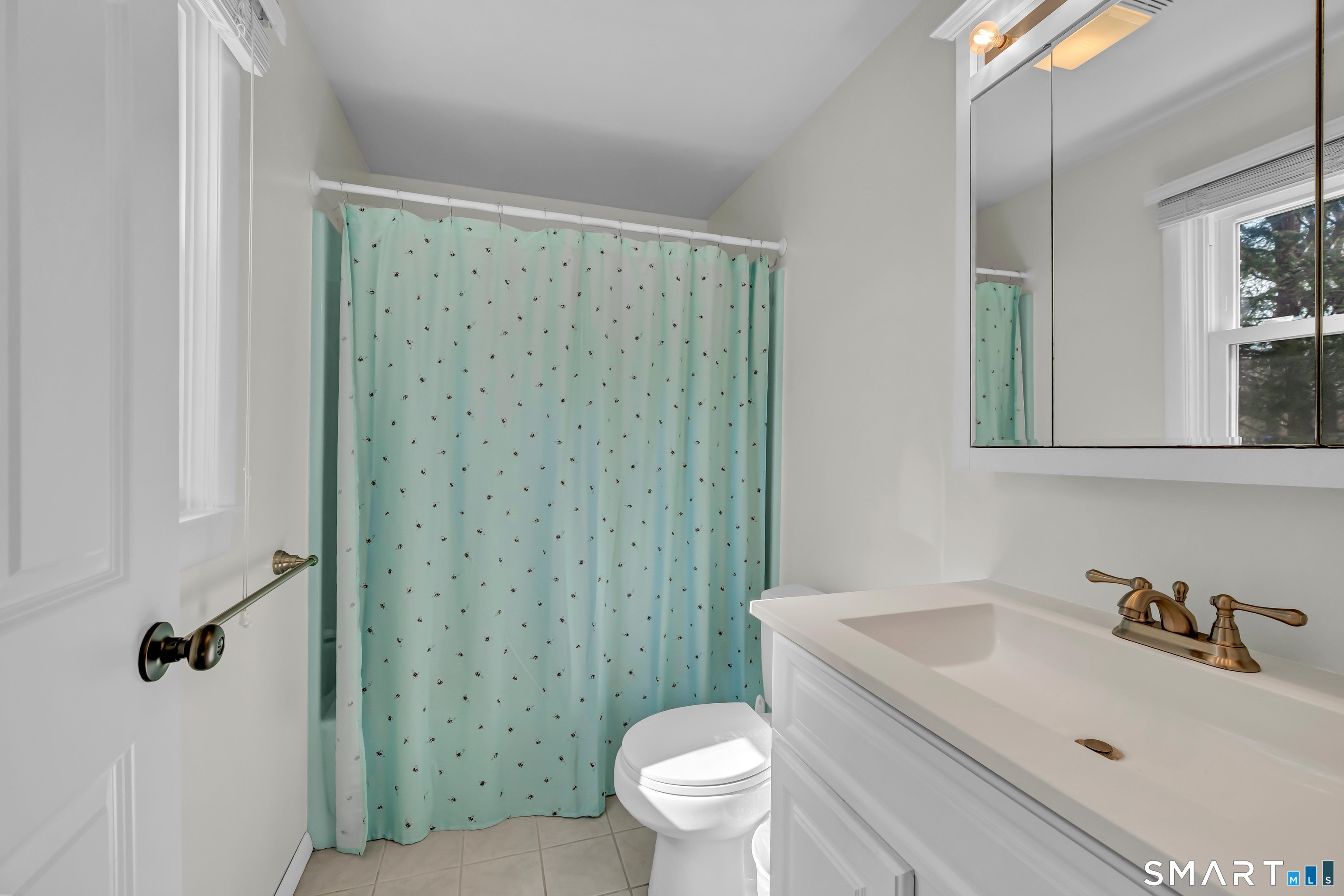 10 Grove Place Bethel, CT 06801 - Photo 23 of 33 a bathroom with a sink and a toilet