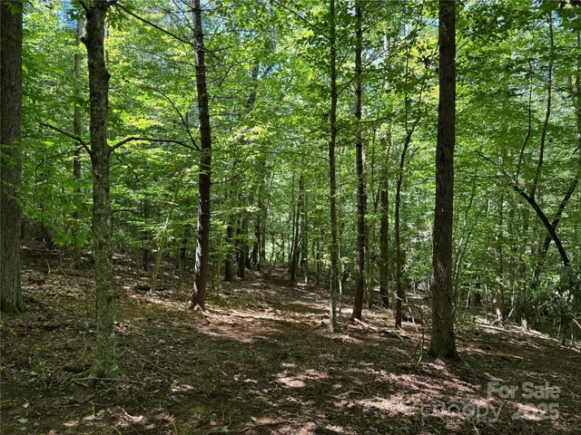 $399,000 | Tbd Tsiya Court, Brevard, NC 28712