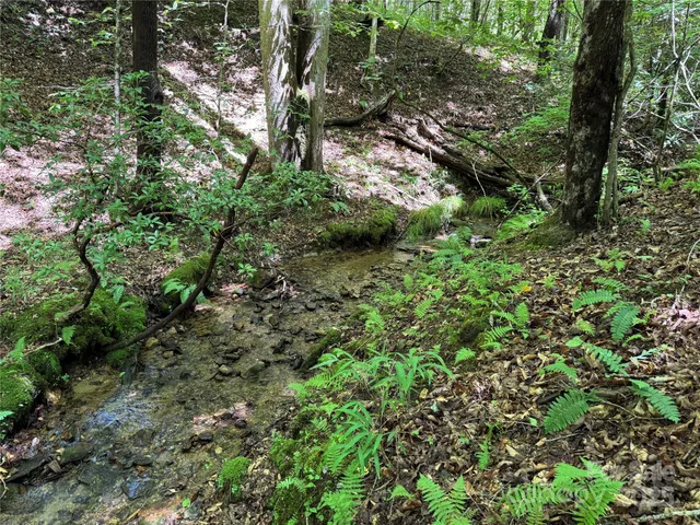 $399,000 | Tbd Tsiya Court, Brevard, NC 28712