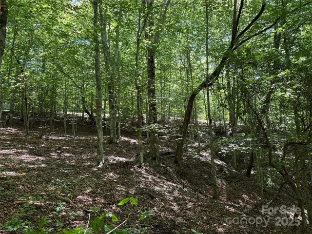 $399,000 | Tbd Tsiya Court, Brevard, NC 28712