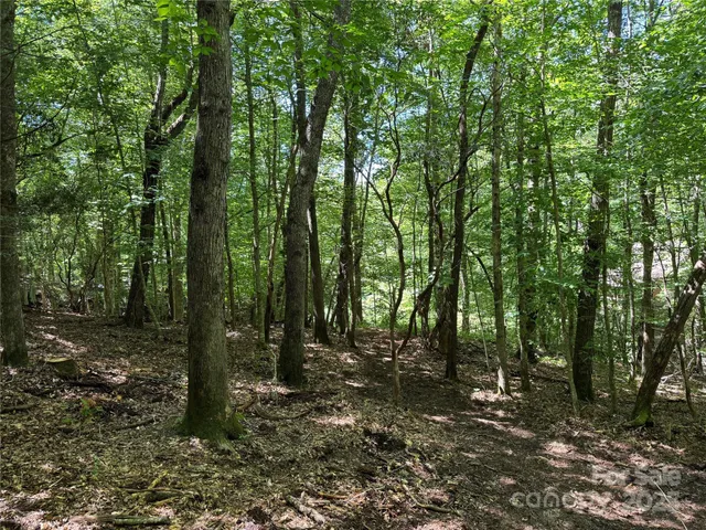 $399,000 | Tbd Tsiya Court, Brevard, NC 28712