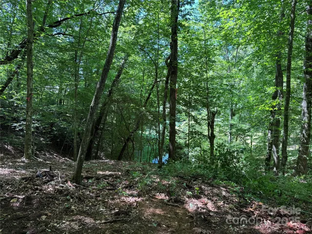 $399,000 | Tbd Tsiya Court, Brevard, NC 28712