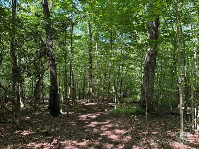 $399,000 | Tbd Tsiya Court, Brevard, NC 28712