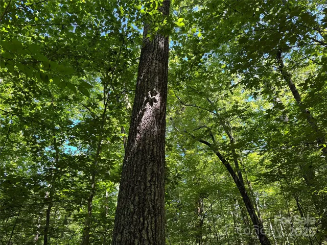 $399,000 | Tbd Tsiya Court, Brevard, NC 28712