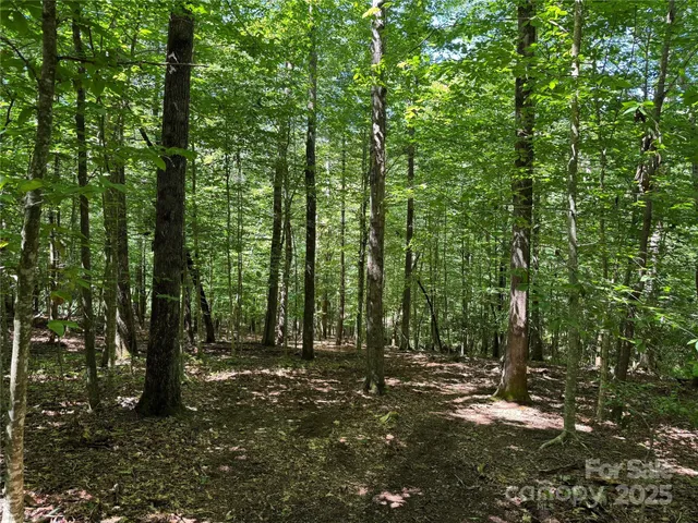$399,000 | Tbd Tsiya Court, Brevard, NC 28712