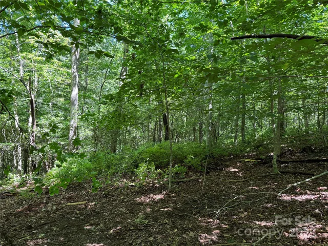 $399,000 | Tbd Tsiya Court, Brevard, NC 28712