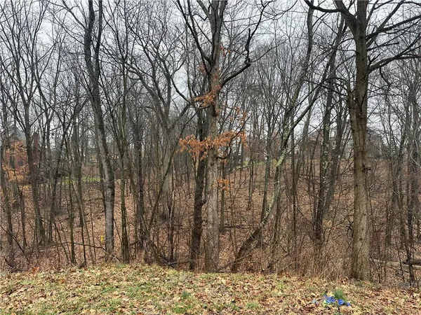 a backyard of a house with a large tree