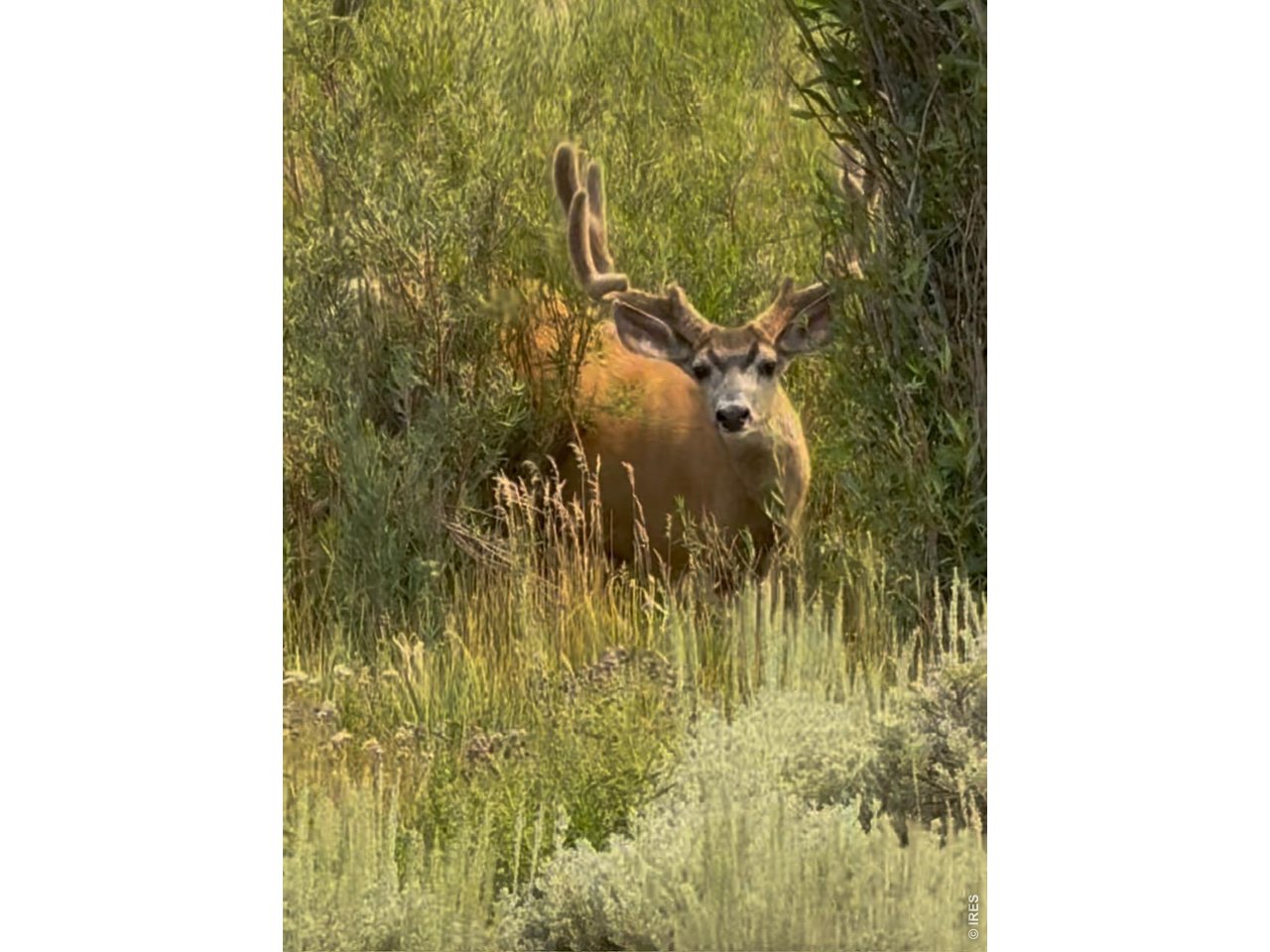 23 C Jackson County Road Walden, CO 80480 - Photo 2 of 7 a bathroom with a shower