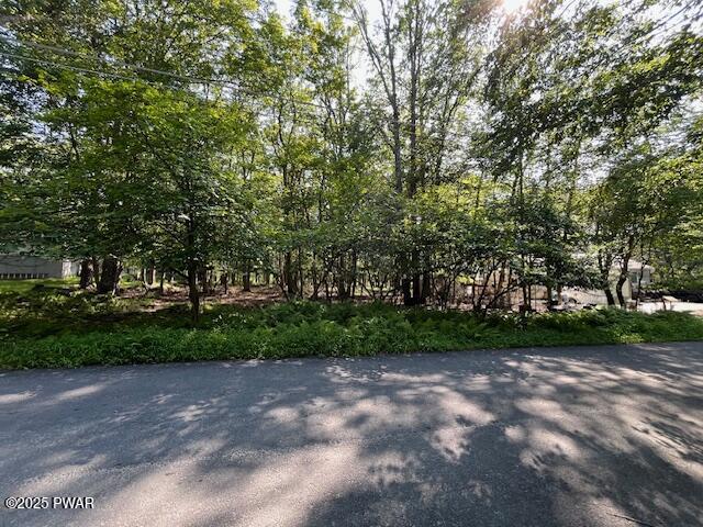 Lot 34 Walnut Road Dingmans Ferry, PA 18328 - Photo 3 of 9