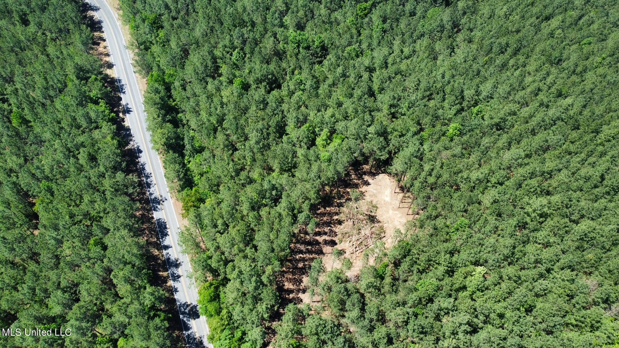 1 Henry Cannon Road Braxton, MS 39044 - Photo 15 of 17 65