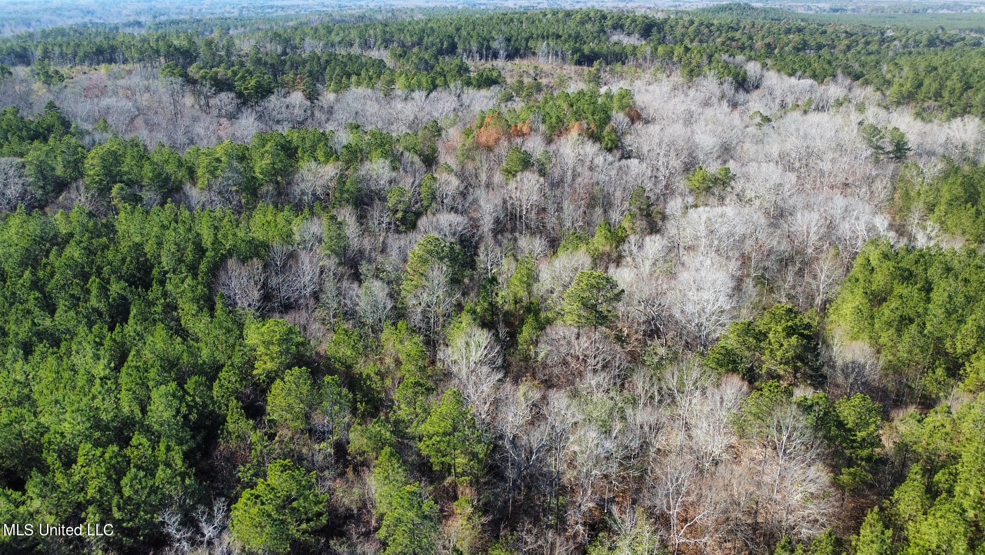 1 Henry Cannon Road Braxton, MS 39044 - Photo 7 of 17 25