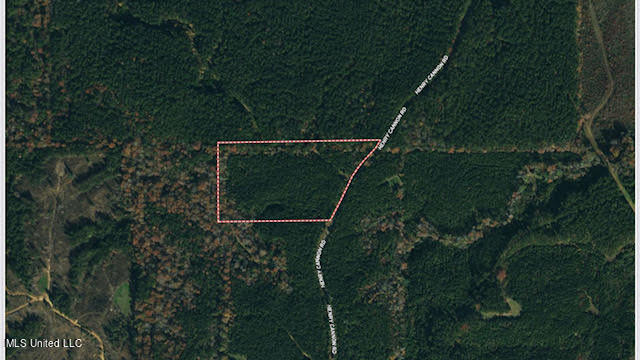 1 Henry Cannon Road Braxton, MS 39044 - Photo 10 of 17 39