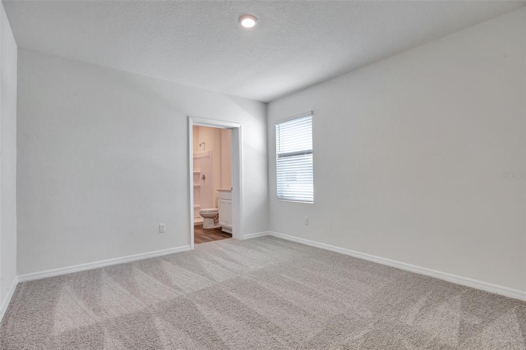 1245 Alstonia Lane Mount Dora, FL 32757 - Photo 15 of 28