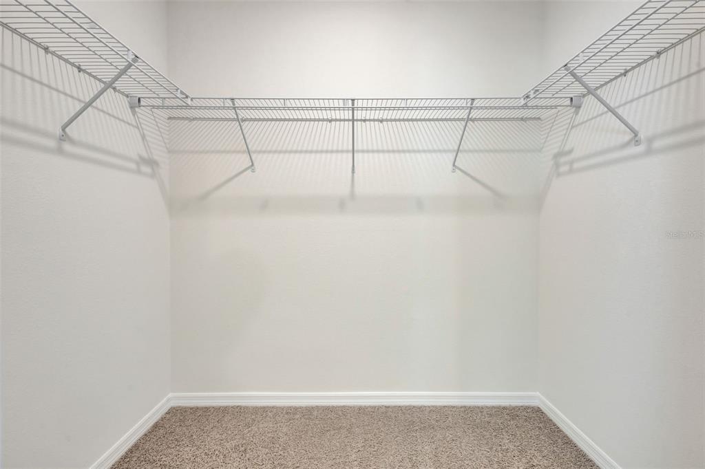 1245 Alstonia Lane Mount Dora, FL 32757 - Photo 17 of 28