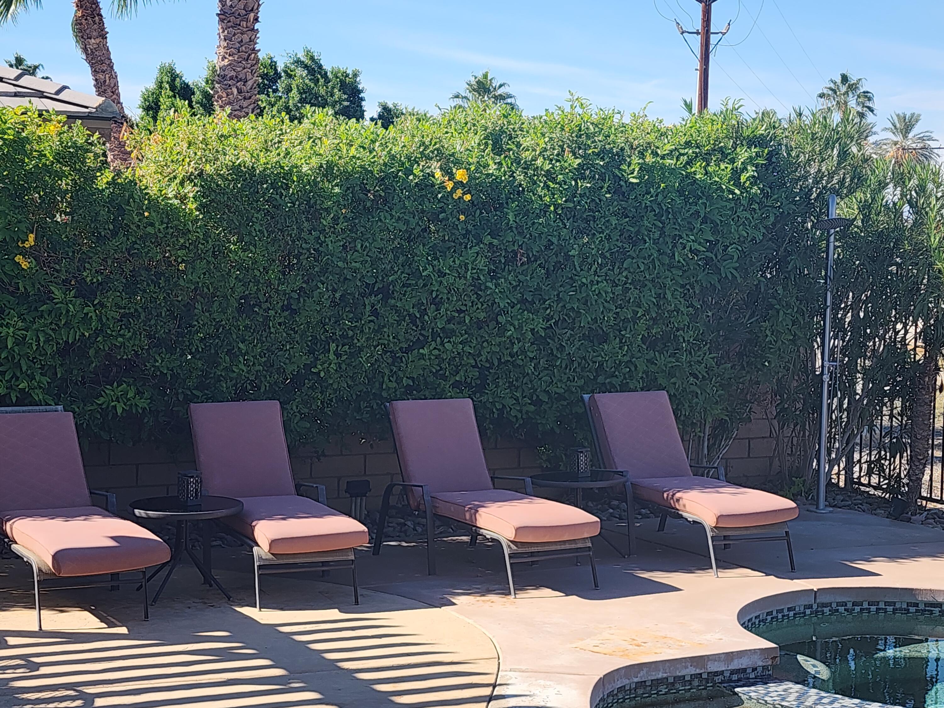 84644 Pavone Way Indio, CA 92203 - Photo 39 of 46 Lounge Chairs