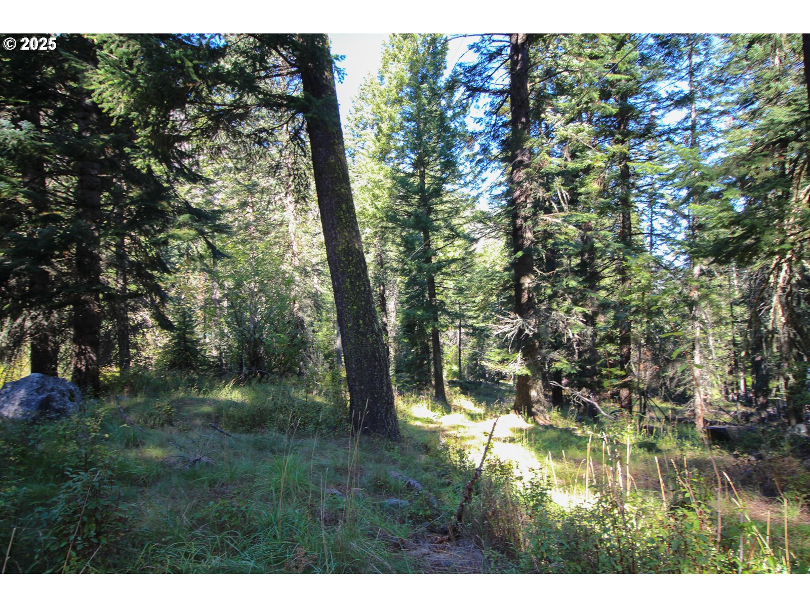 Beske Lane Joseph, OR 97846 - Photo 11 of 13