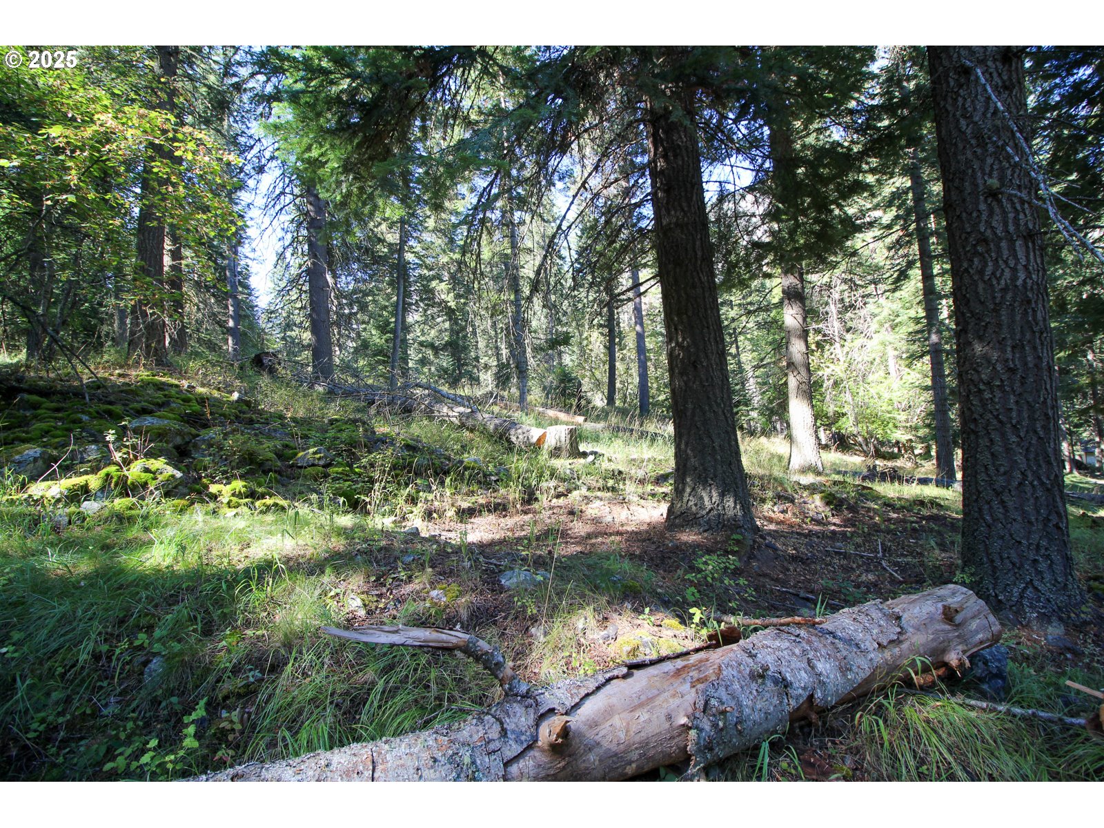 Beske Lane Joseph, OR 97846 - Photo 12 of 13