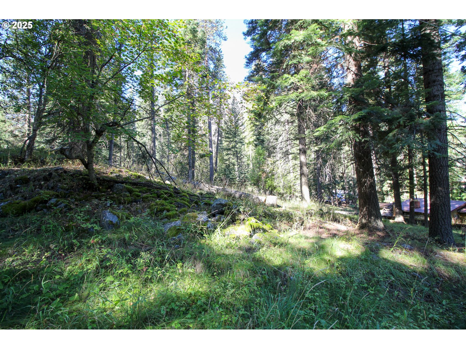 Beske Lane Joseph, OR 97846 - Photo 13 of 13