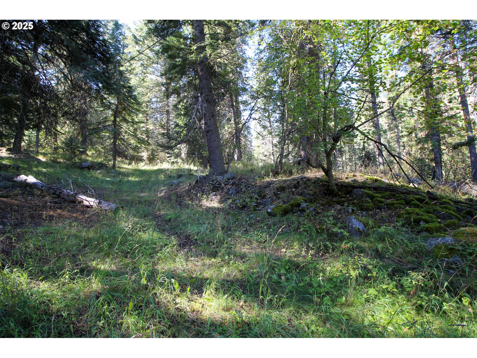 Beske Lane Joseph, OR 97846 - Photo 3 of 13