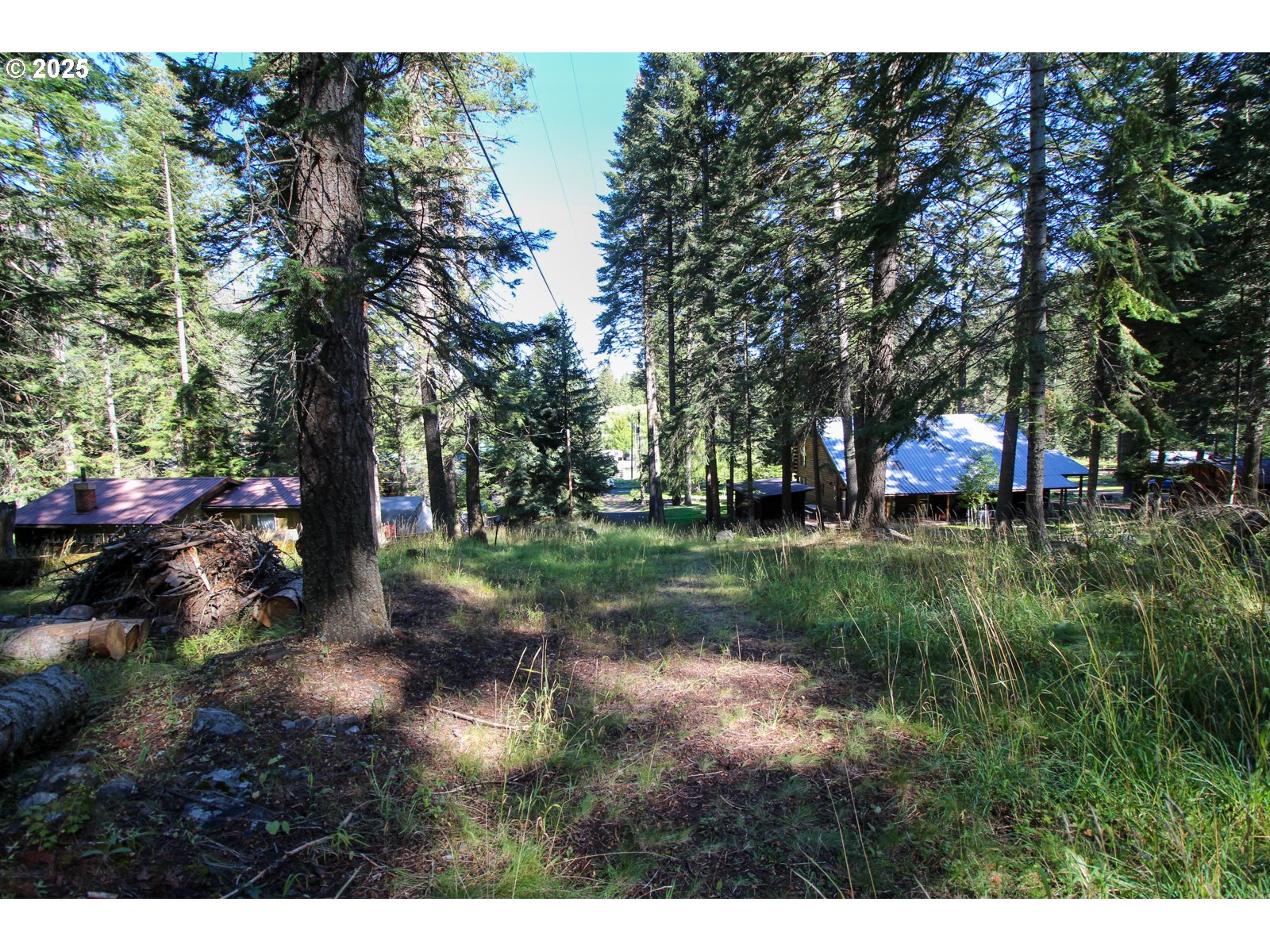 Beske Lane Joseph, OR 97846 - Photo 4 of 13