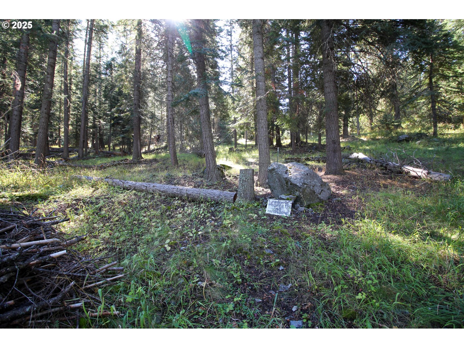 Beske Lane Joseph, OR 97846 - Photo 5 of 13