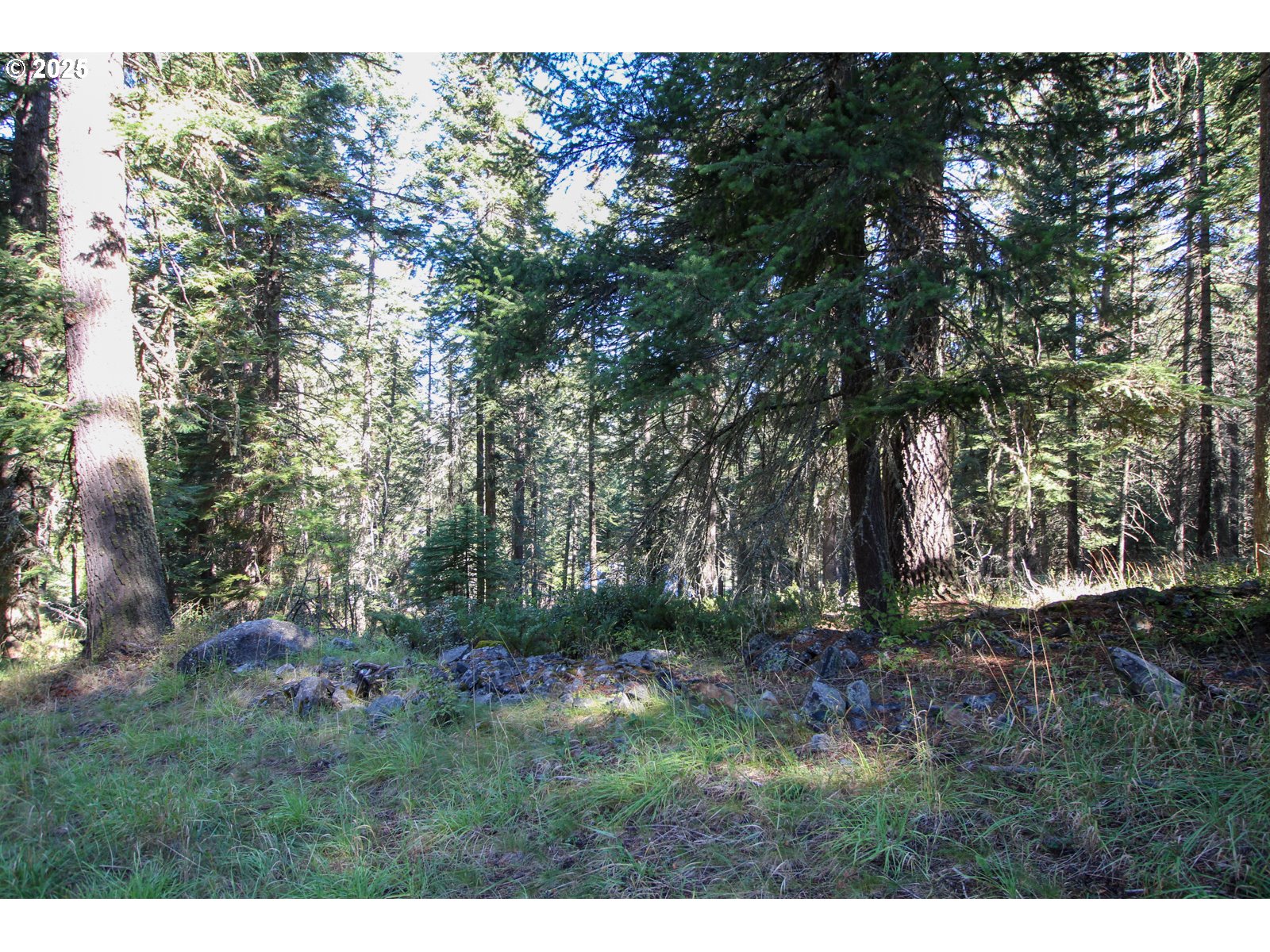 Beske Lane Joseph, OR 97846 - Photo 6 of 13