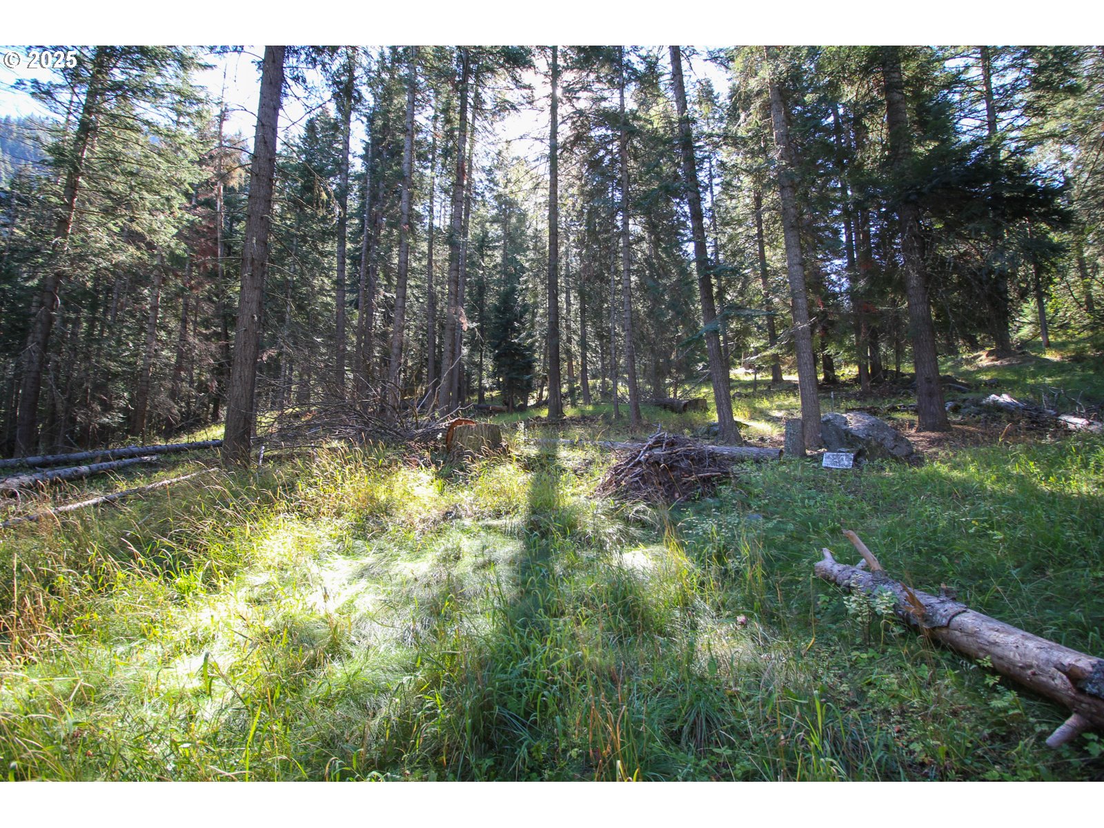 Beske Lane Joseph, OR 97846 - Photo 7 of 13