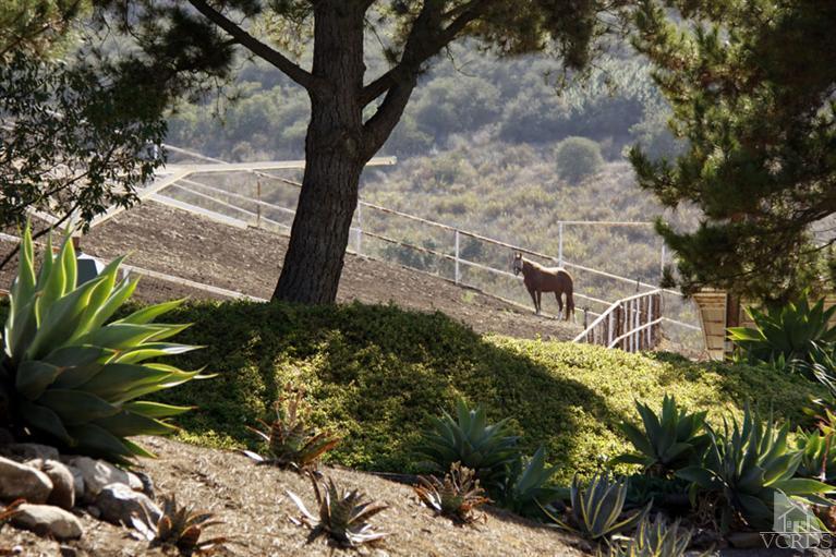 4956 Read Road Thousand Oaks, CA 93021 - Photo 27 of 30 Additional Photo