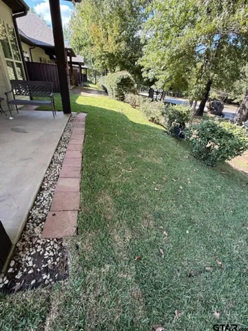 a view of a park with large trees
