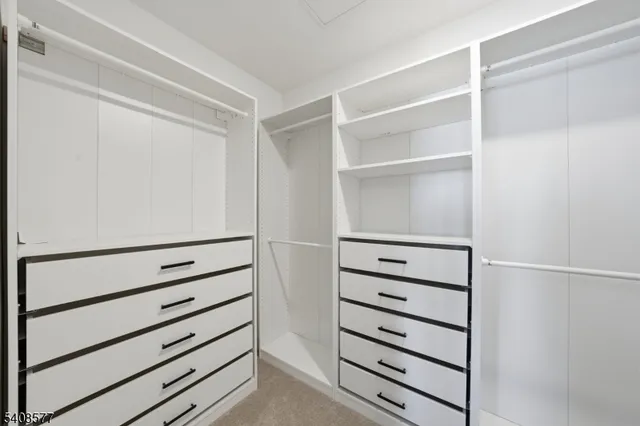a view of walk in closet with empty racks