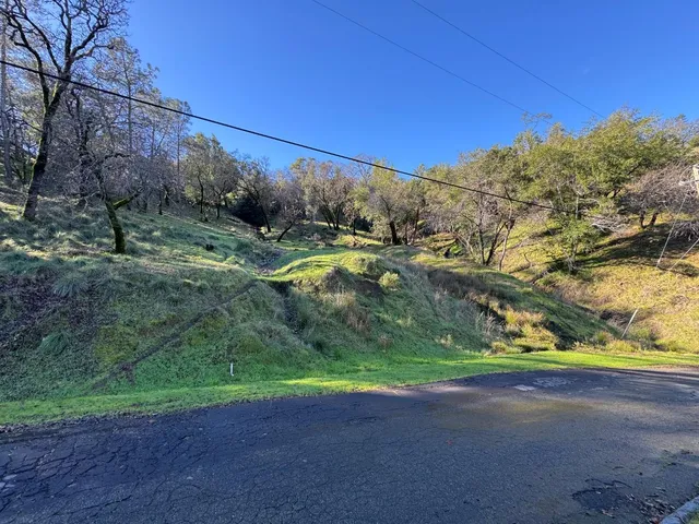 a green field with lots of trees in the background