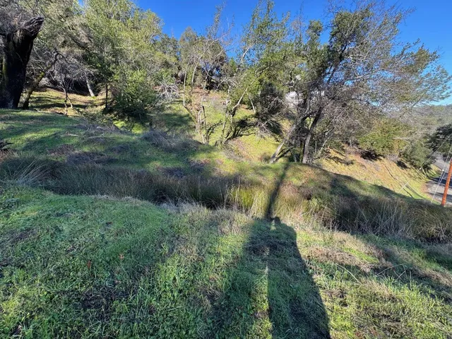a view of outdoor space and yard