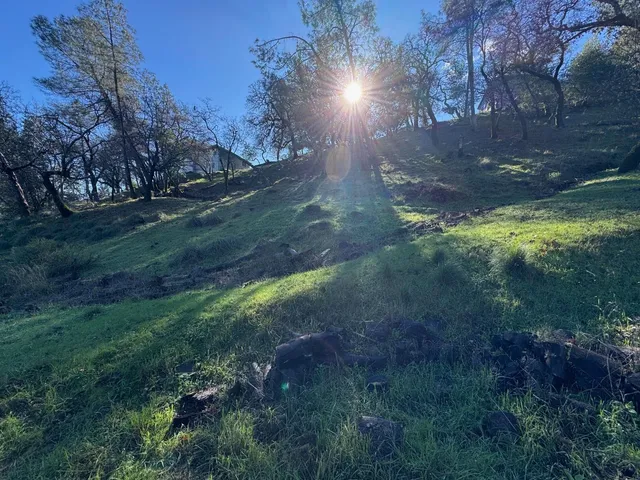 a view of yard with green space