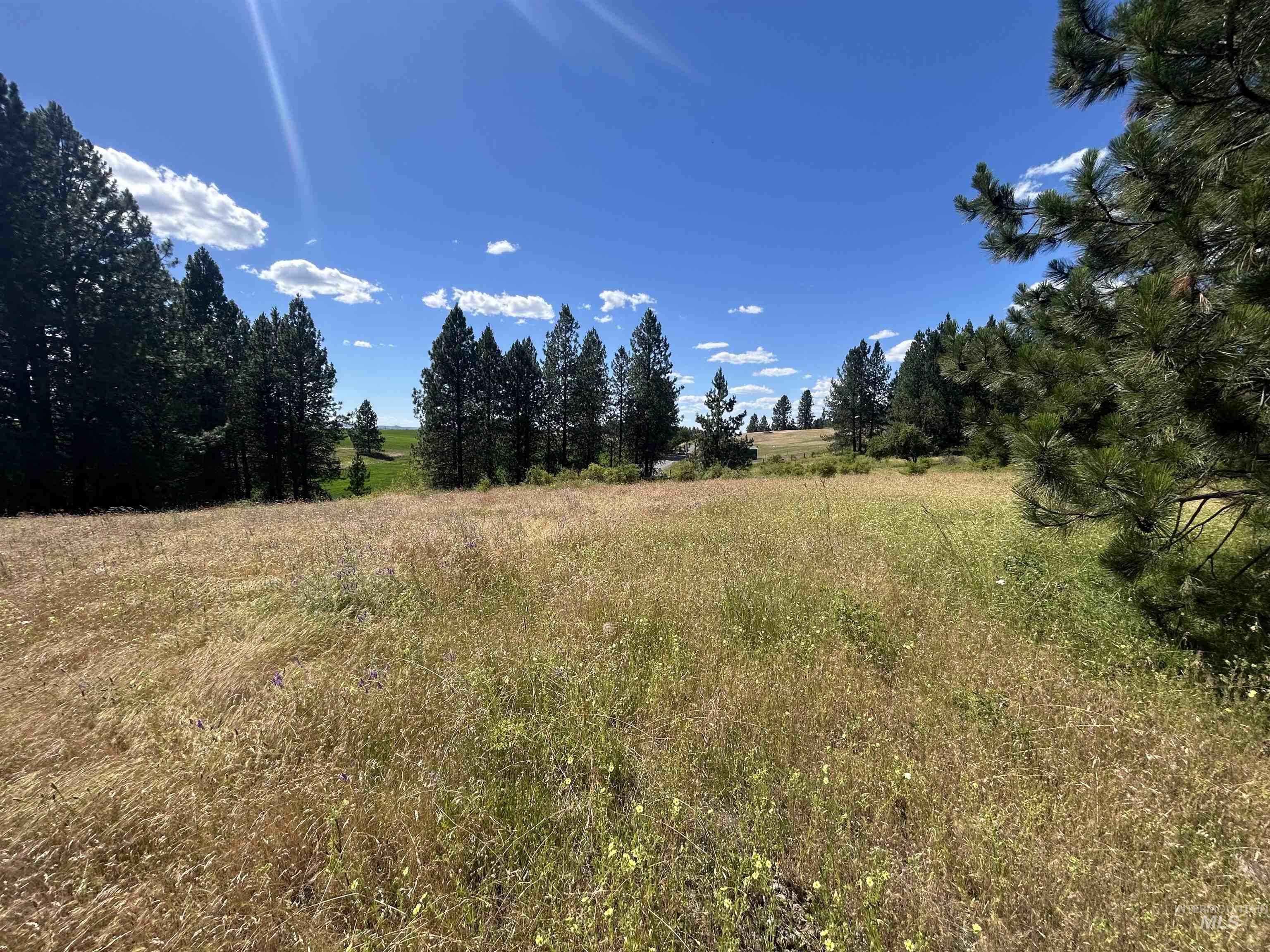 Tbd Lot 1 Tbd Road Kooskia, ID 83539 - Photo 7 of 13