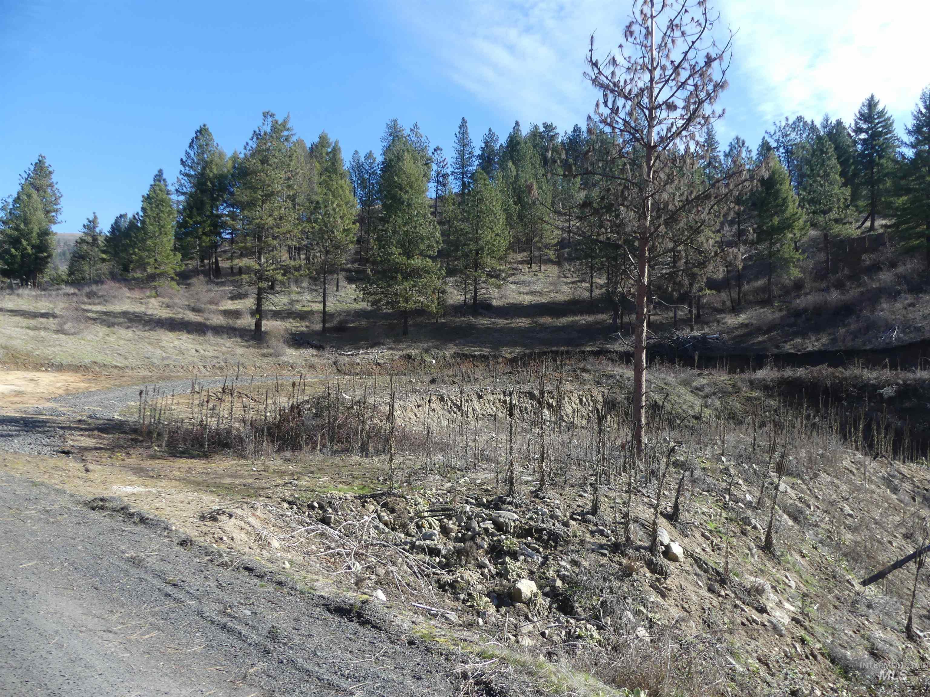 1408 Carrot Ridge Road Kamiah, ID 83536 - Photo 46 of 48