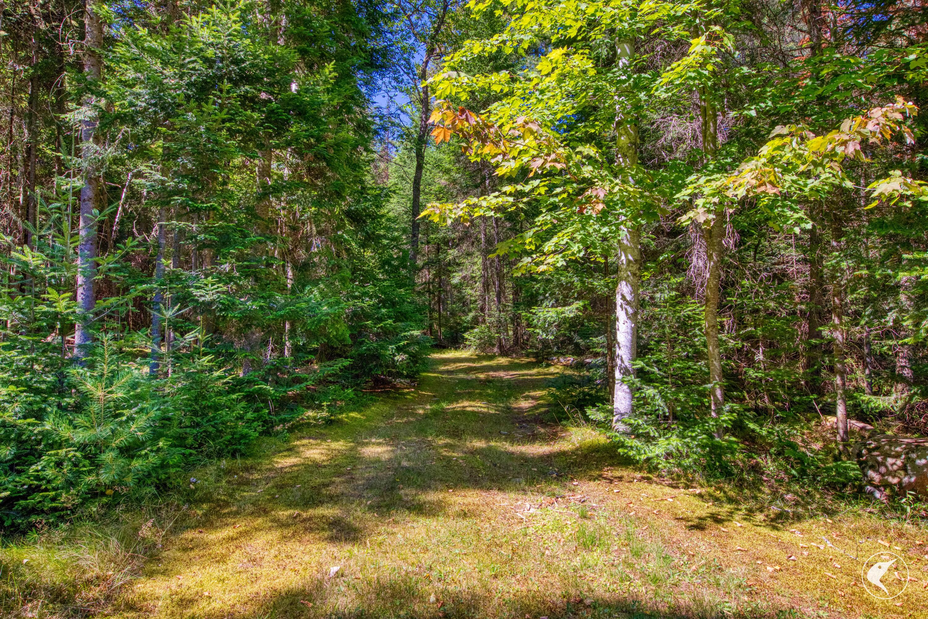 41 Paye Road Vermontville, NY 12989 - Photo 78 of 79 Gallery Image 78