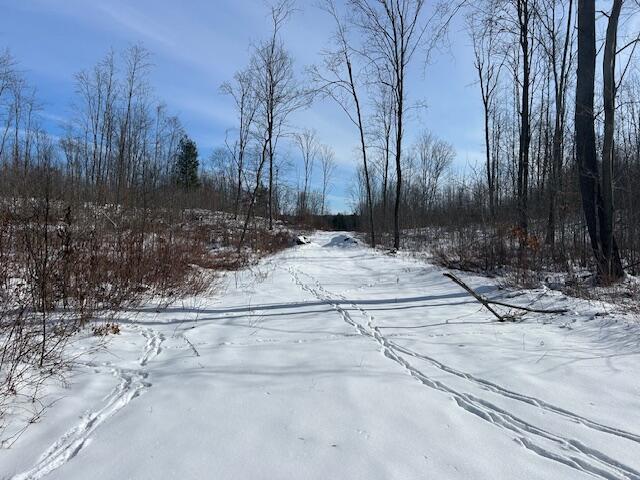 9 East 9 Mile Road Lakeview, MI 48850 - Photo 13 of 16