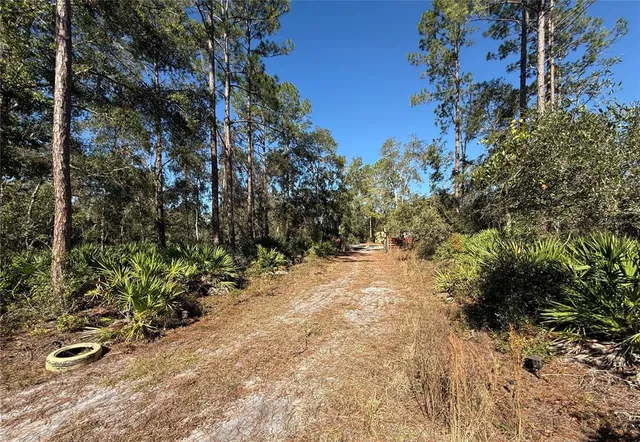 a view of a yard with plants and trees