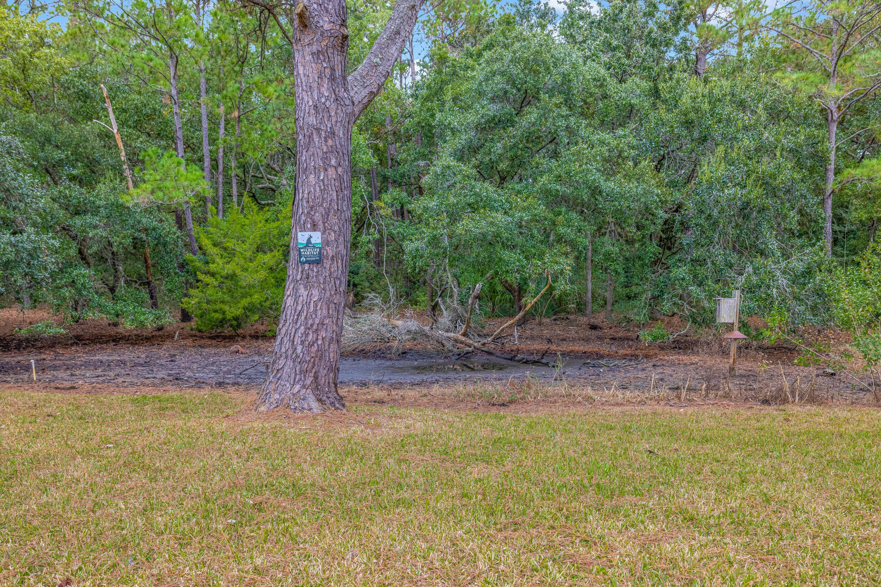 648 Schooner Road Charleston, SC 29412 - Photo 20 of 25 Bird Sanctuary
