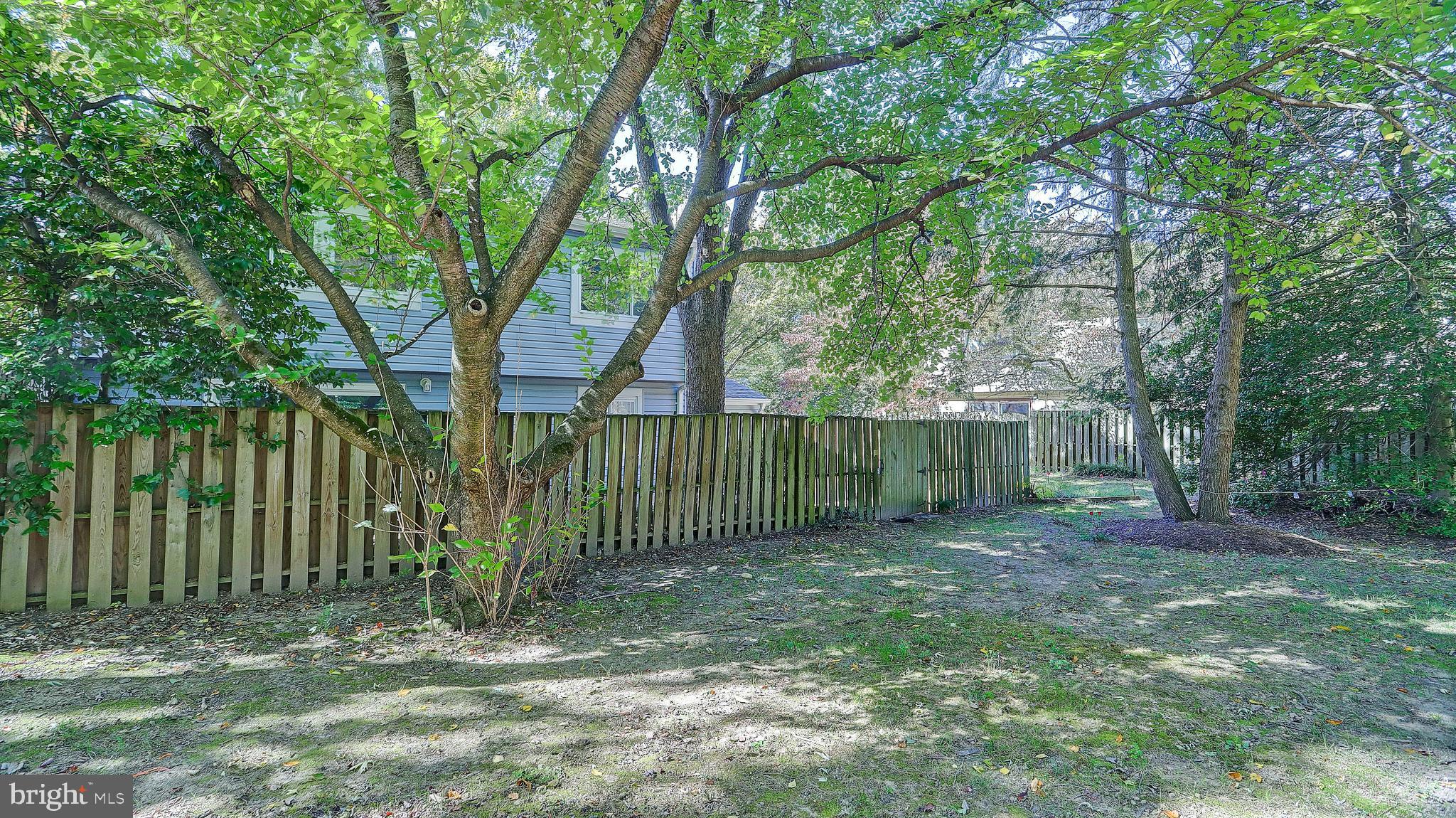 1500 Roundleaf Court Reston, VA 20190 - Photo 6 of 23 Gallery Image 6