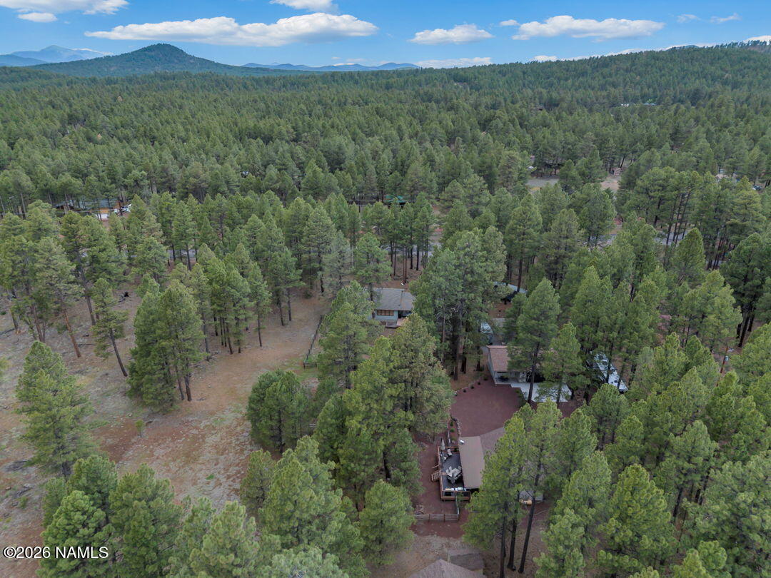 13050 Fallow Deer Road Parks, AZ 86018 - Photo 39 of 44 44-web-or-mls-Media.TimberCreekImagery-4