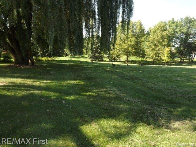 781 Bolinger Street Rochester, MI 48307 - Photo 11 of 44 beautiful view