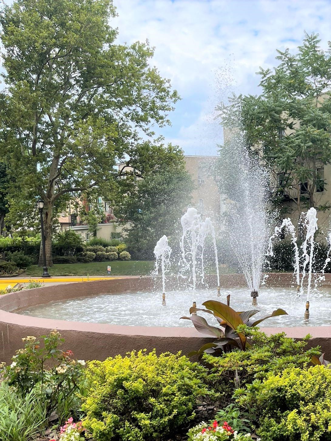 a view of a garden with a slide